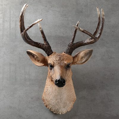 american realistic deer head