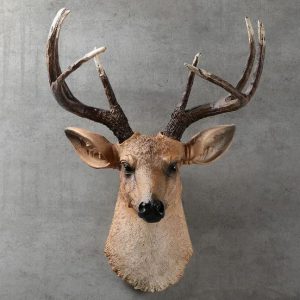 realistic deer head 