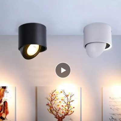 360 Rotatable Anti-Glare Ceiling Light