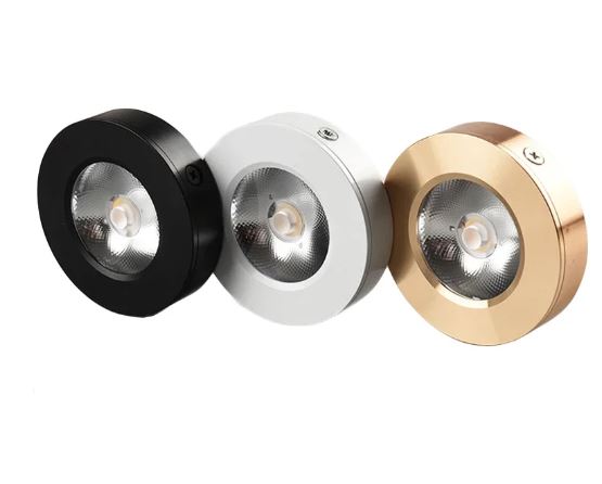 Recessed LED Surface Mounted Downlight